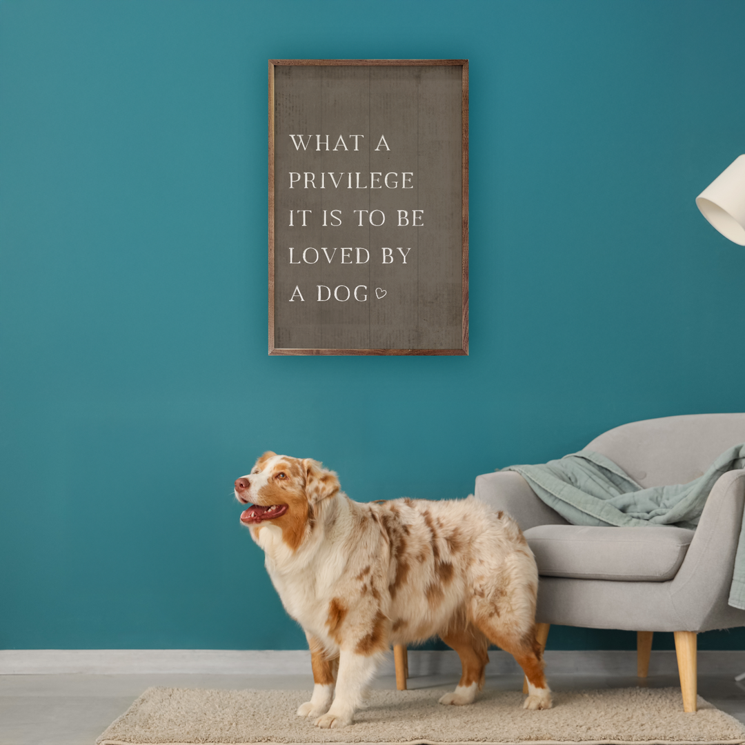 What A Privilege Dog