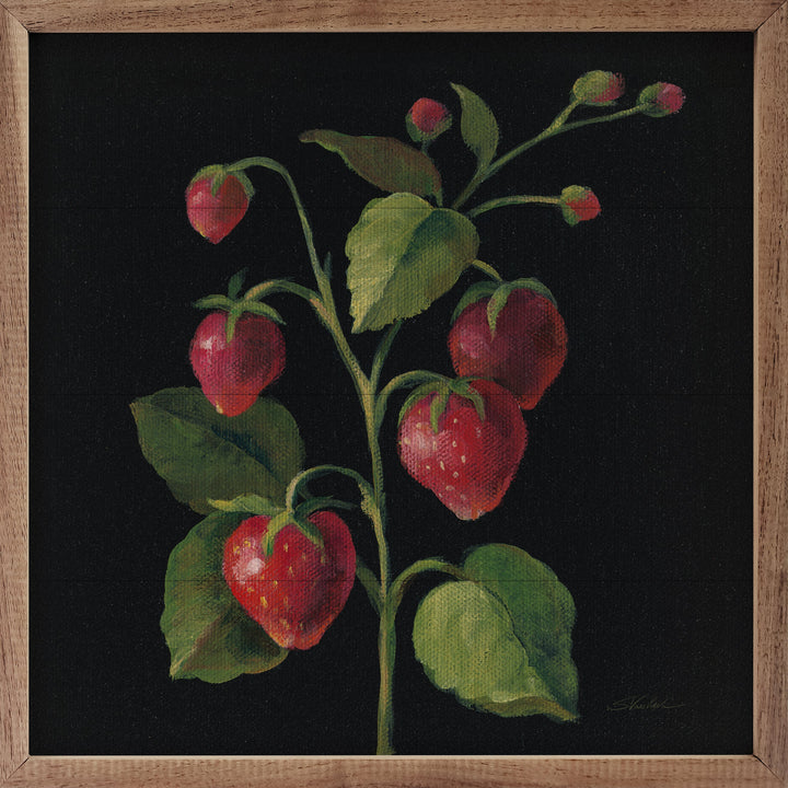 Fraise By Silvia Vassileva
