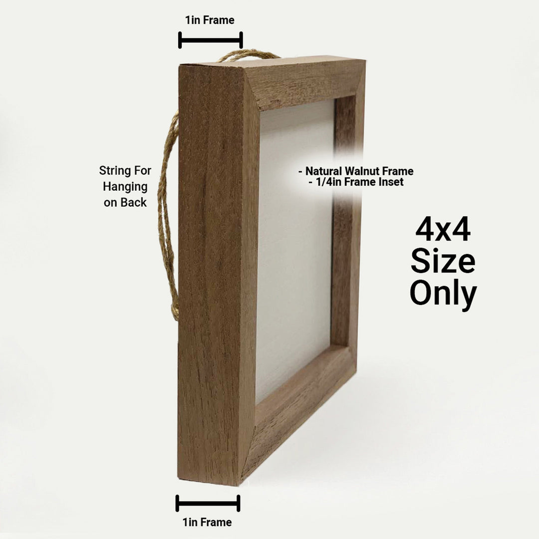 Bruno The Deer