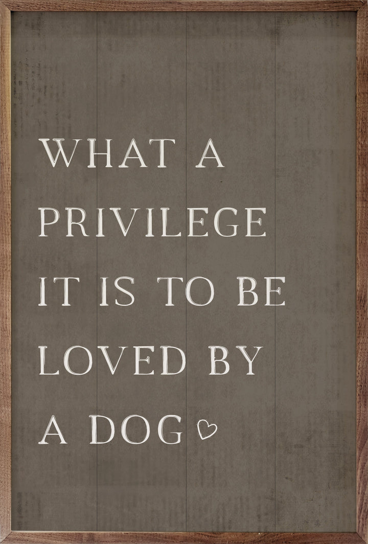 What A Privilege Dog