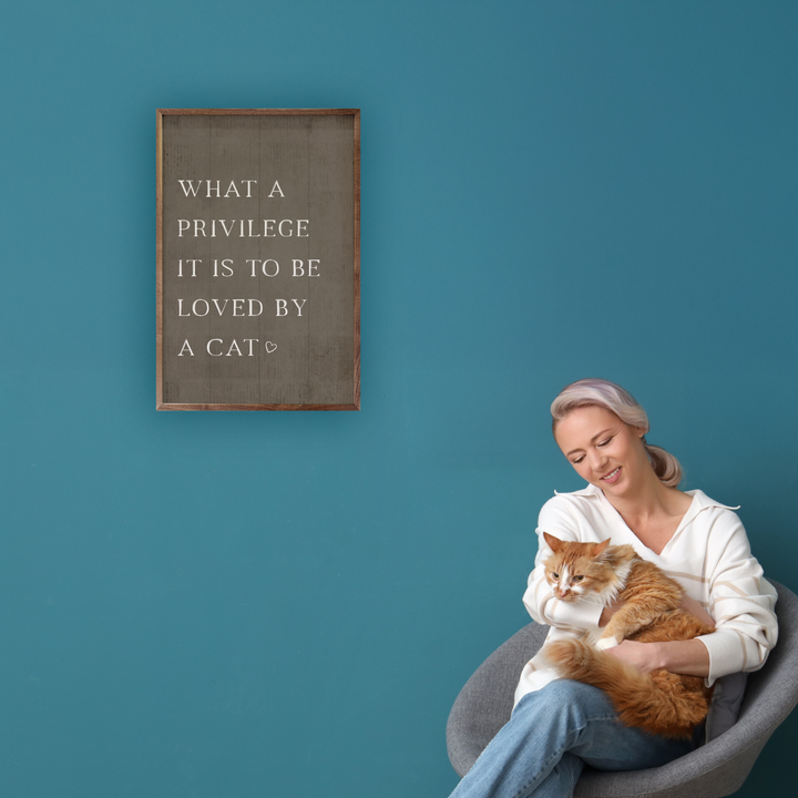 What A Privilege Cat