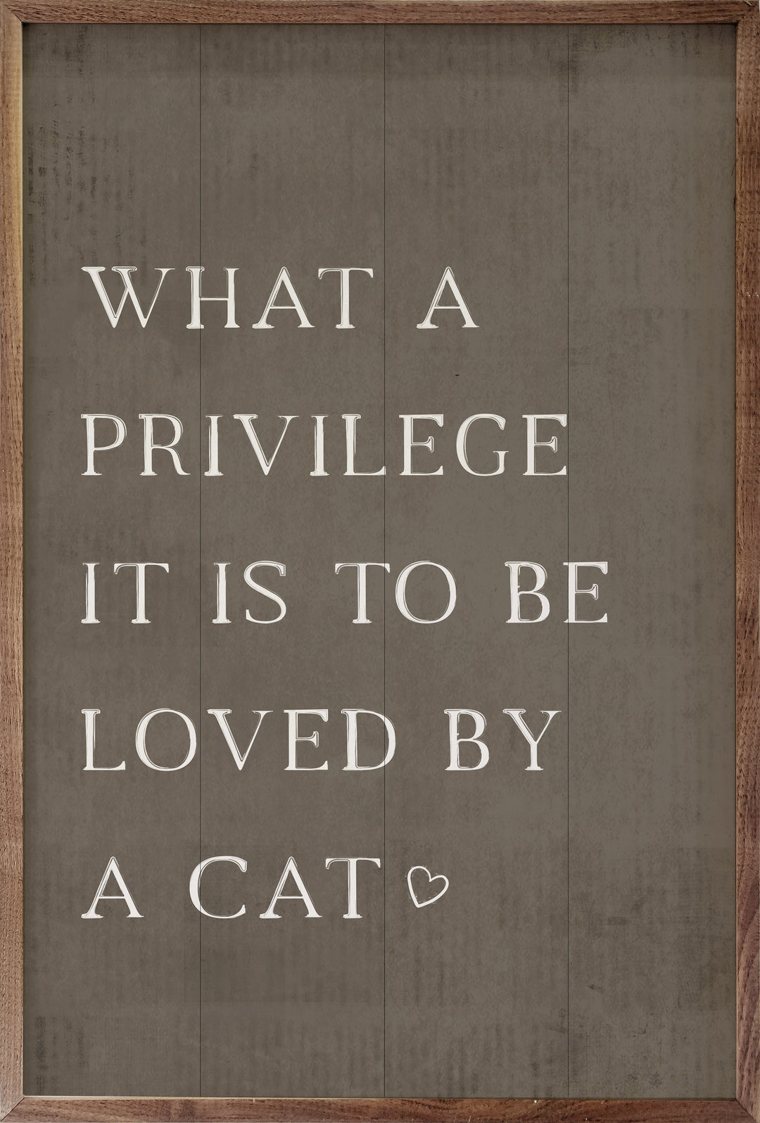 What A Privilege Cat