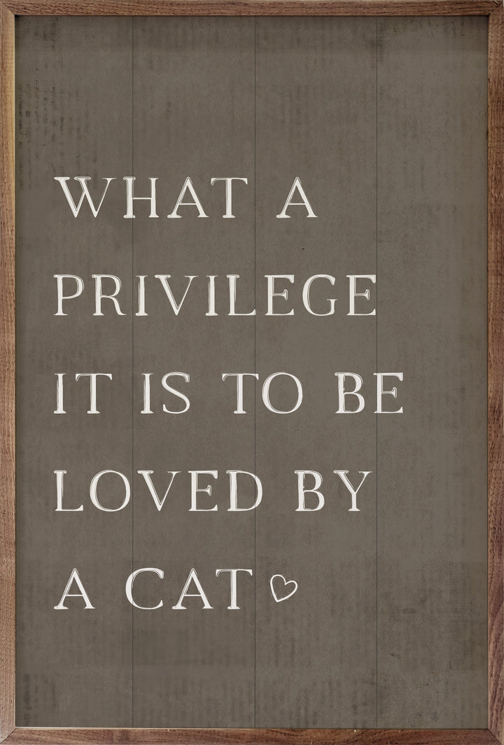 What A Privilege Cat