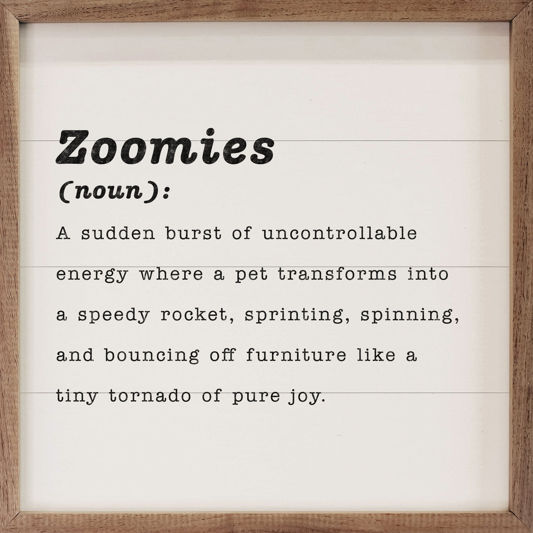 Zoomies Definition