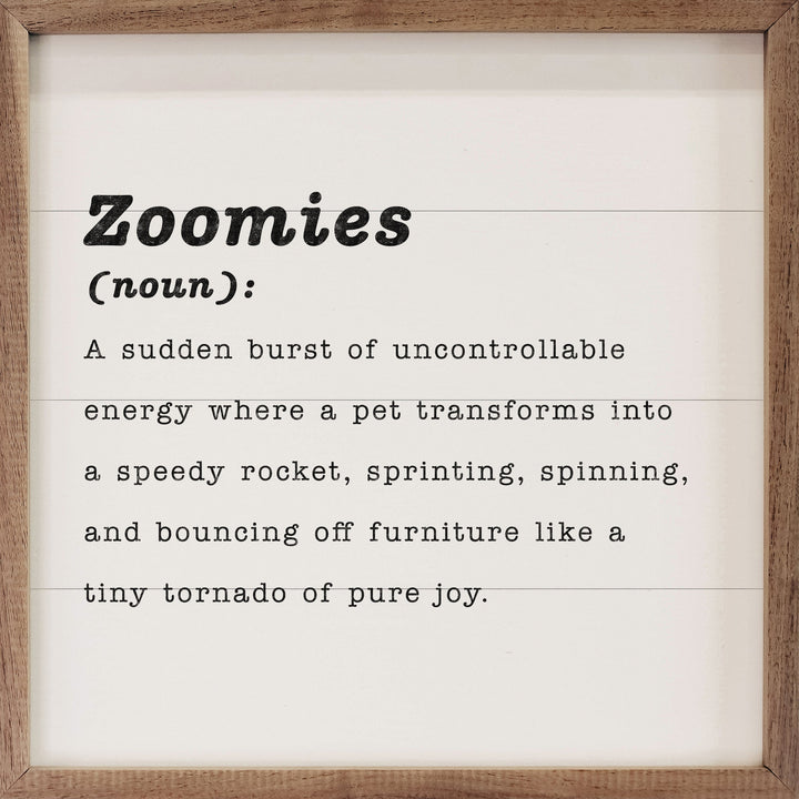 Zoomies Definition