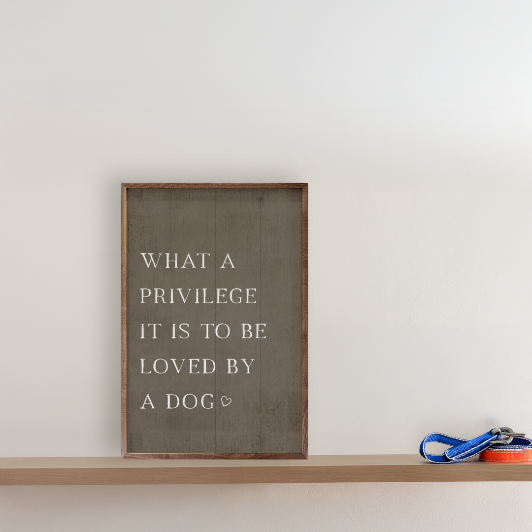 What A Privilege Dog