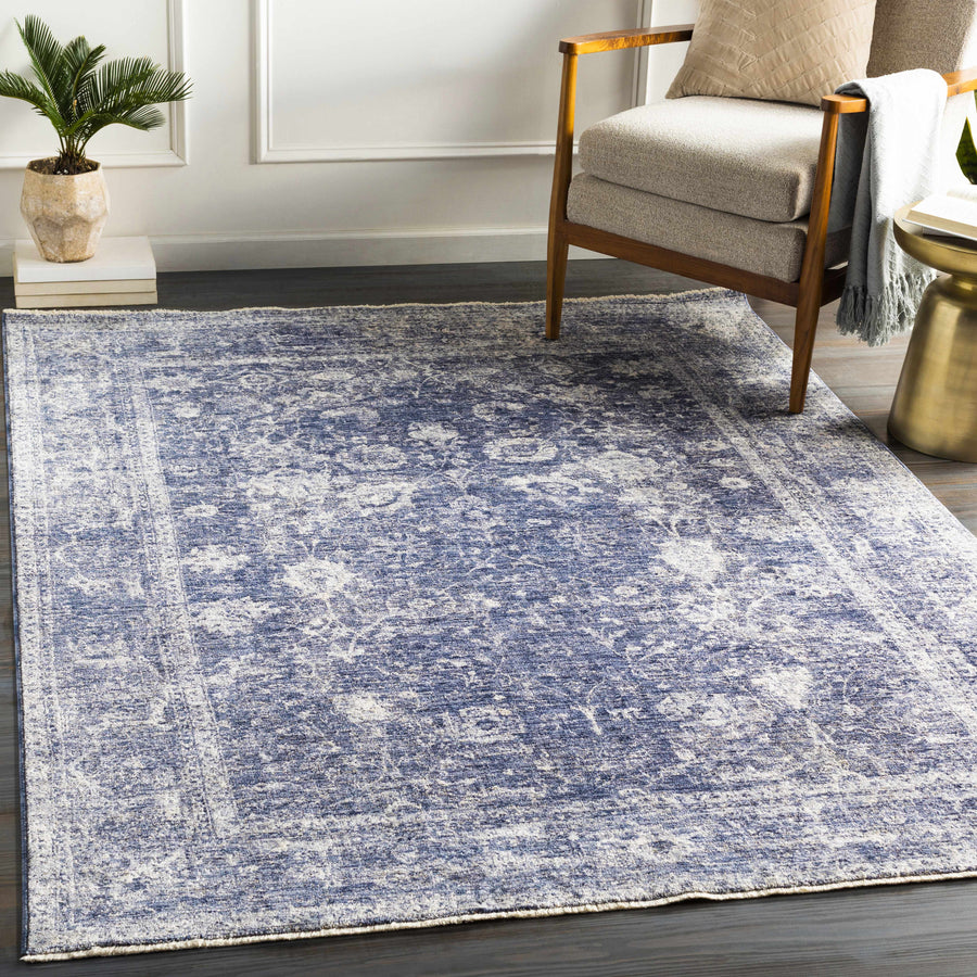 Blue and white patterned rug in a living room setting with a chair and plant.

Eastham Luxe Area Rug