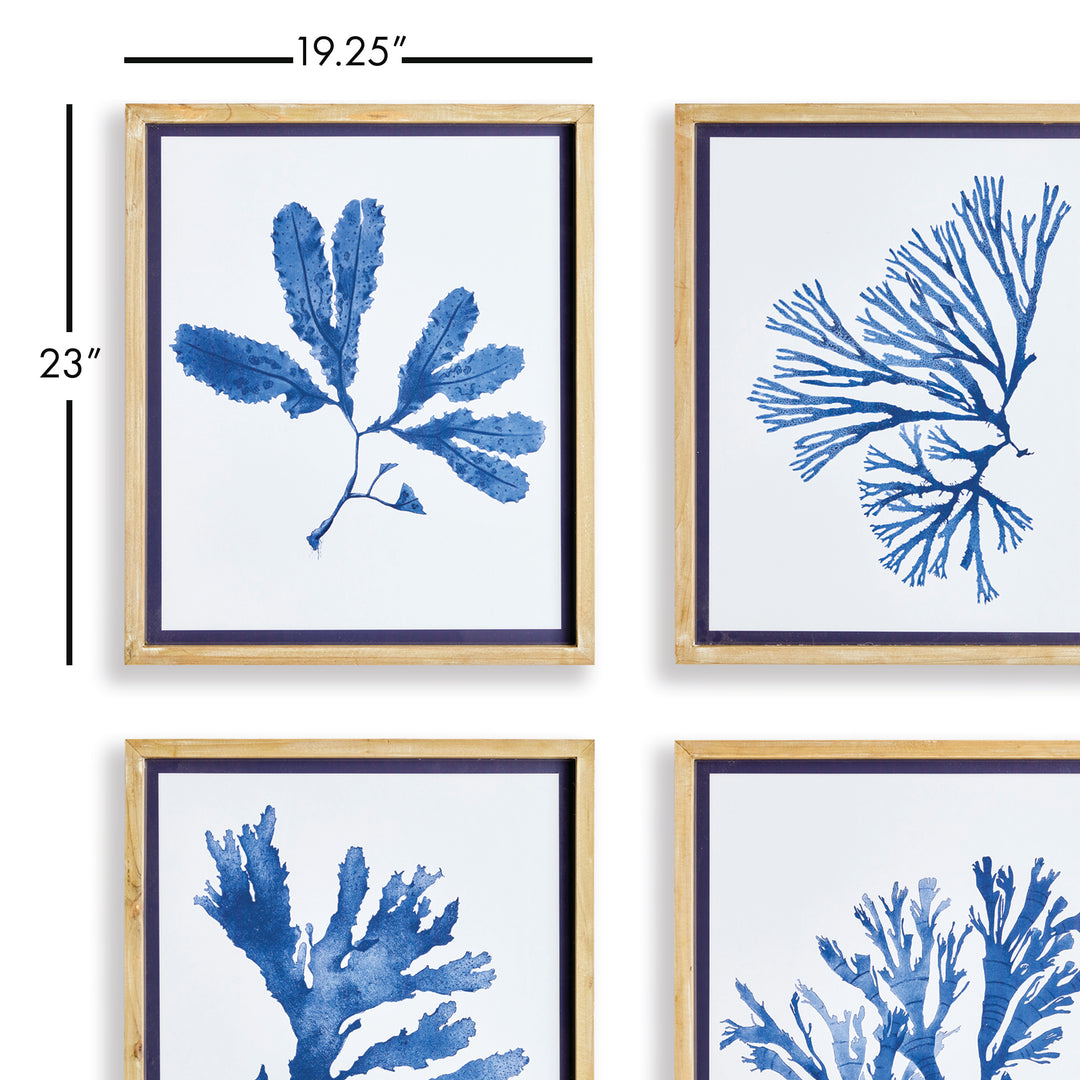 Indigo Seaweed Prints St/4