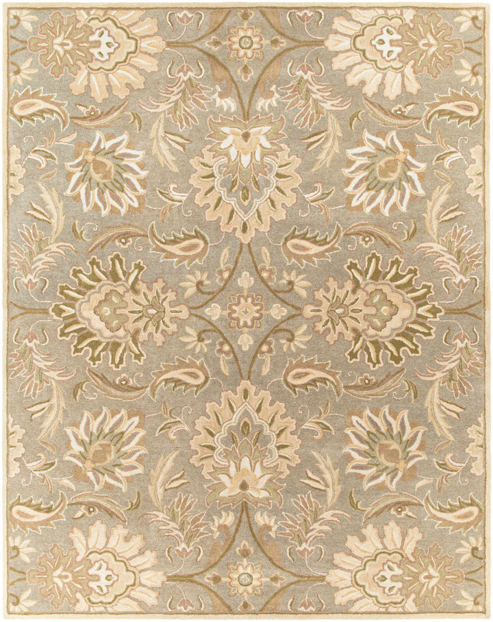Chesterton Hand Tufted Ivory 1111 Area Rug