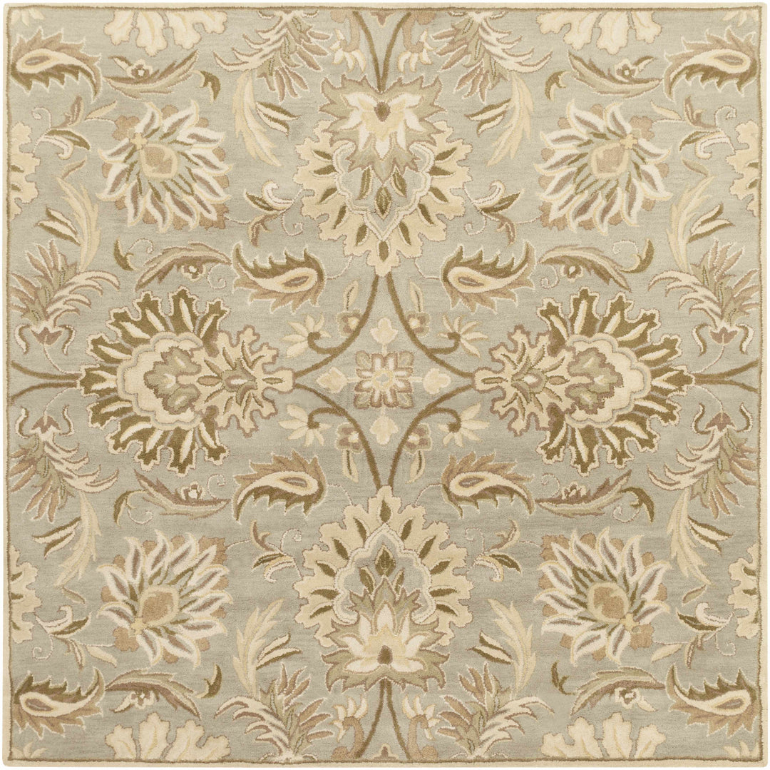 Chesterton Hand Tufted Ivory 1111 Area Rug