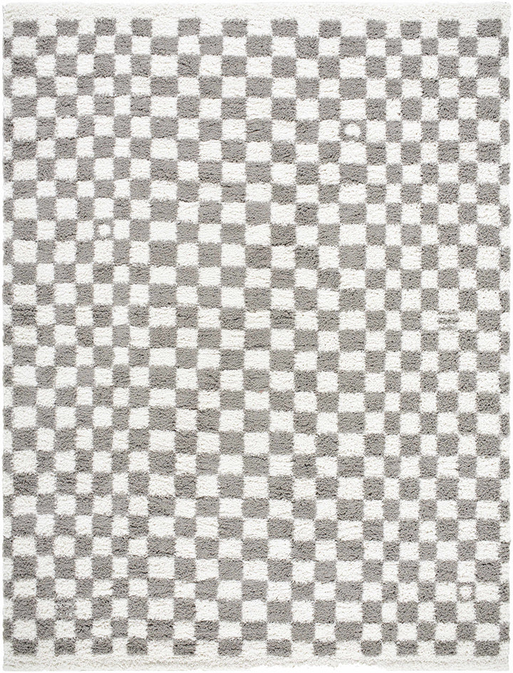 Kieu Taupe Checkered Plush Rug