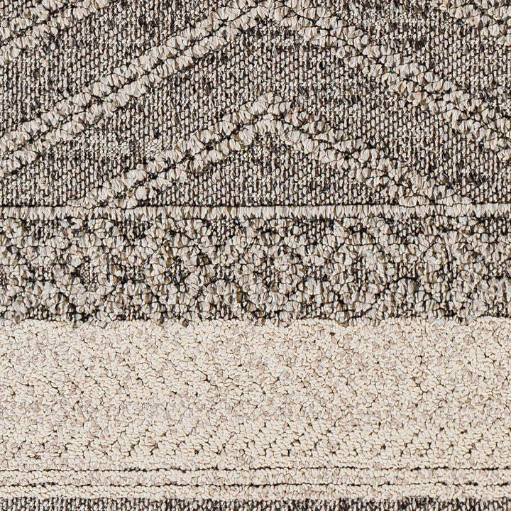 Areli Beige / Brown Outdoor Rug