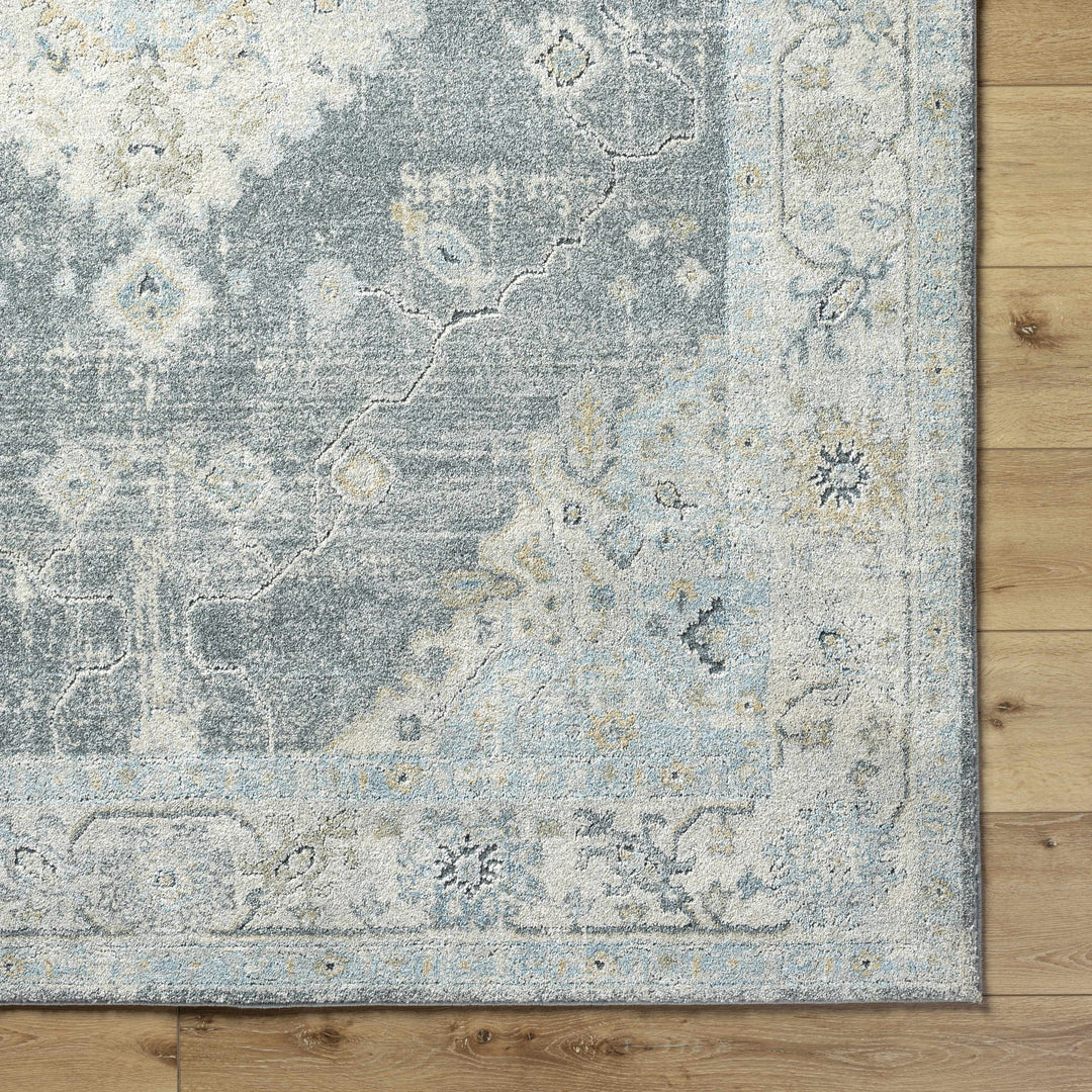 Decorative rug with a central medallion design on a light gray background

Tyche Tan Thick Luxe Area Rug