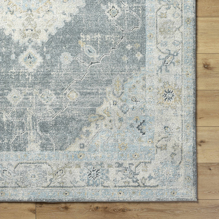 Decorative rug with a central medallion design on a light gray background

Tyche Tan Thick Luxe Area Rug