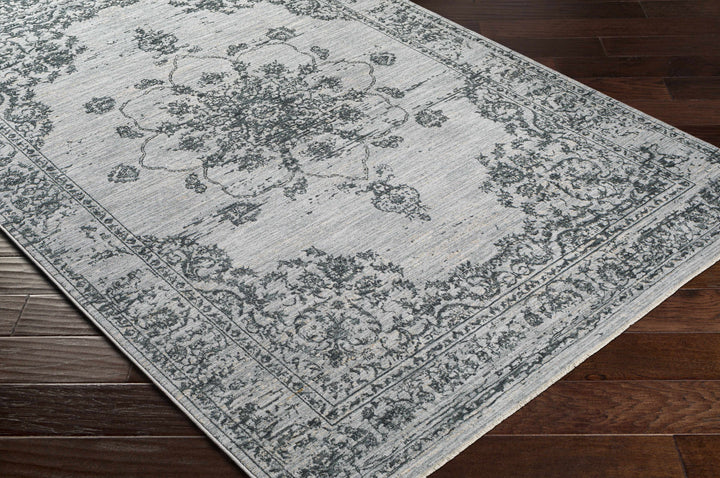Wandina Traditional Luxe Rug