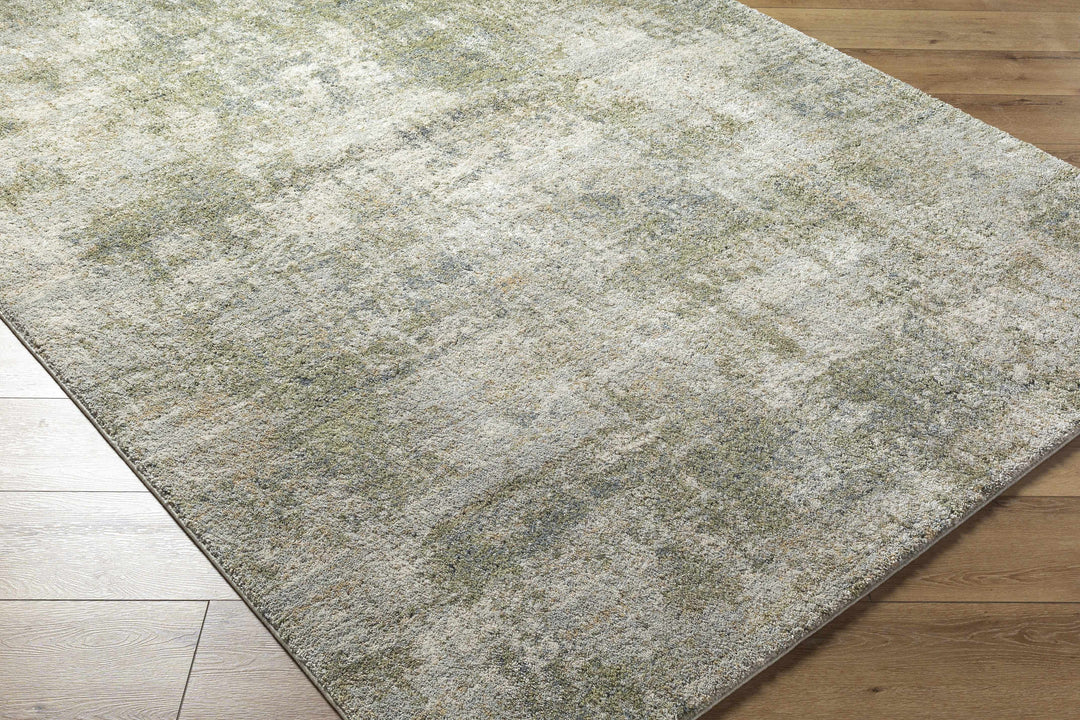Grayish-green area rug on a wooden floor

Zazie Thick Luxe Rug