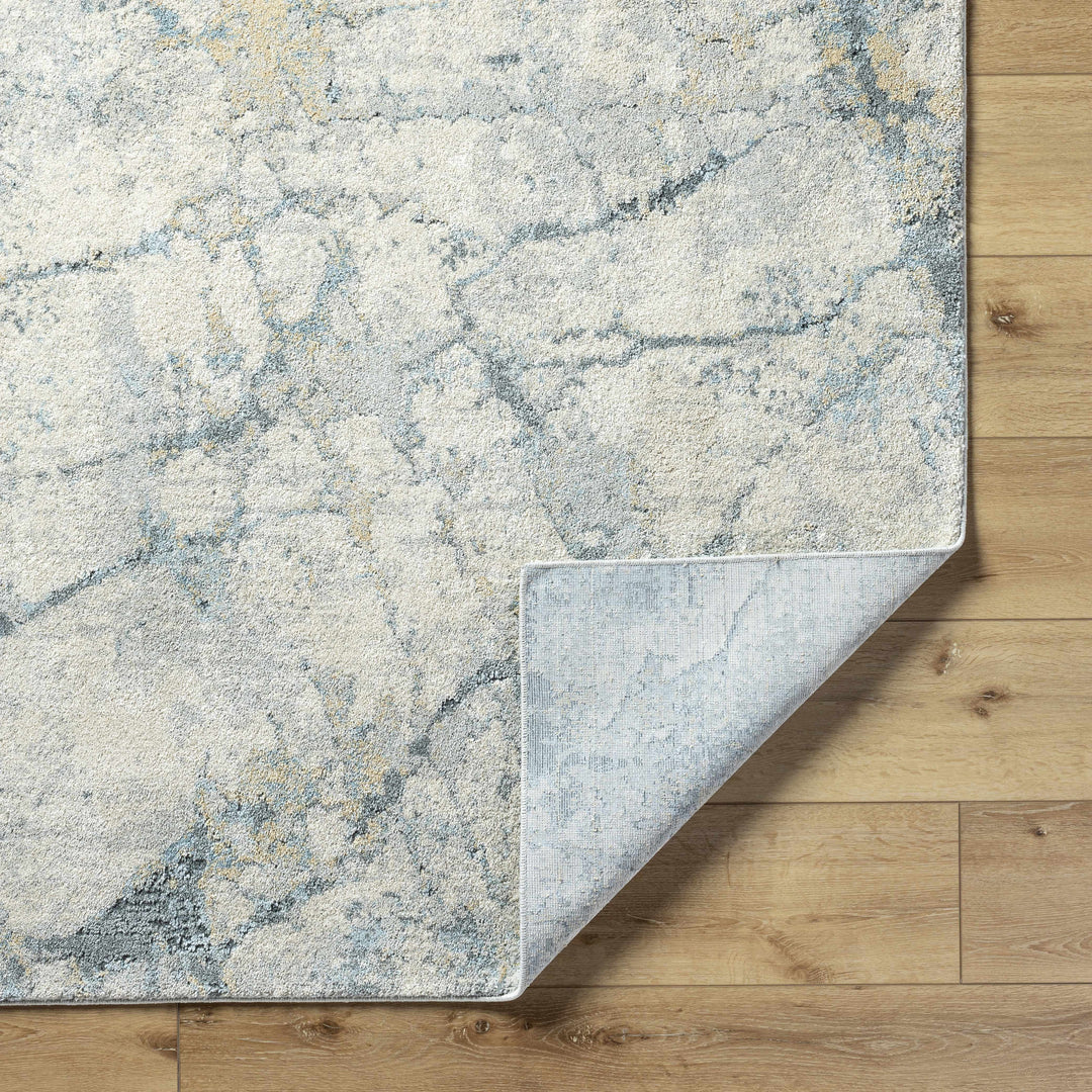 Gray and blue patterned rug on a wooden floor

Urowo Light Gray Thick Luxe Rug