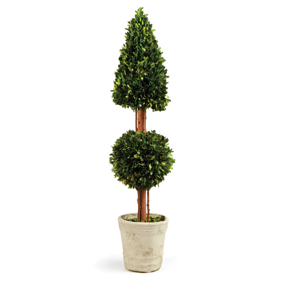 Boxwood Cone & Ball Topiary 36"