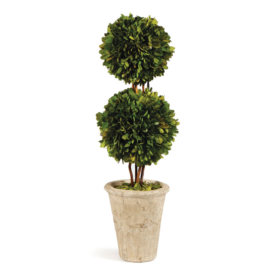 Boxwood Double Sphere Topiary 20"