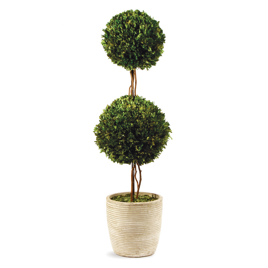 Boxwood Double Sphere Topiary 28"
