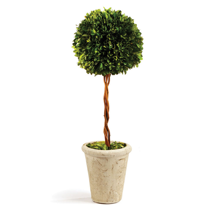 Boxwood Single Sphere Topiary 18.5"
