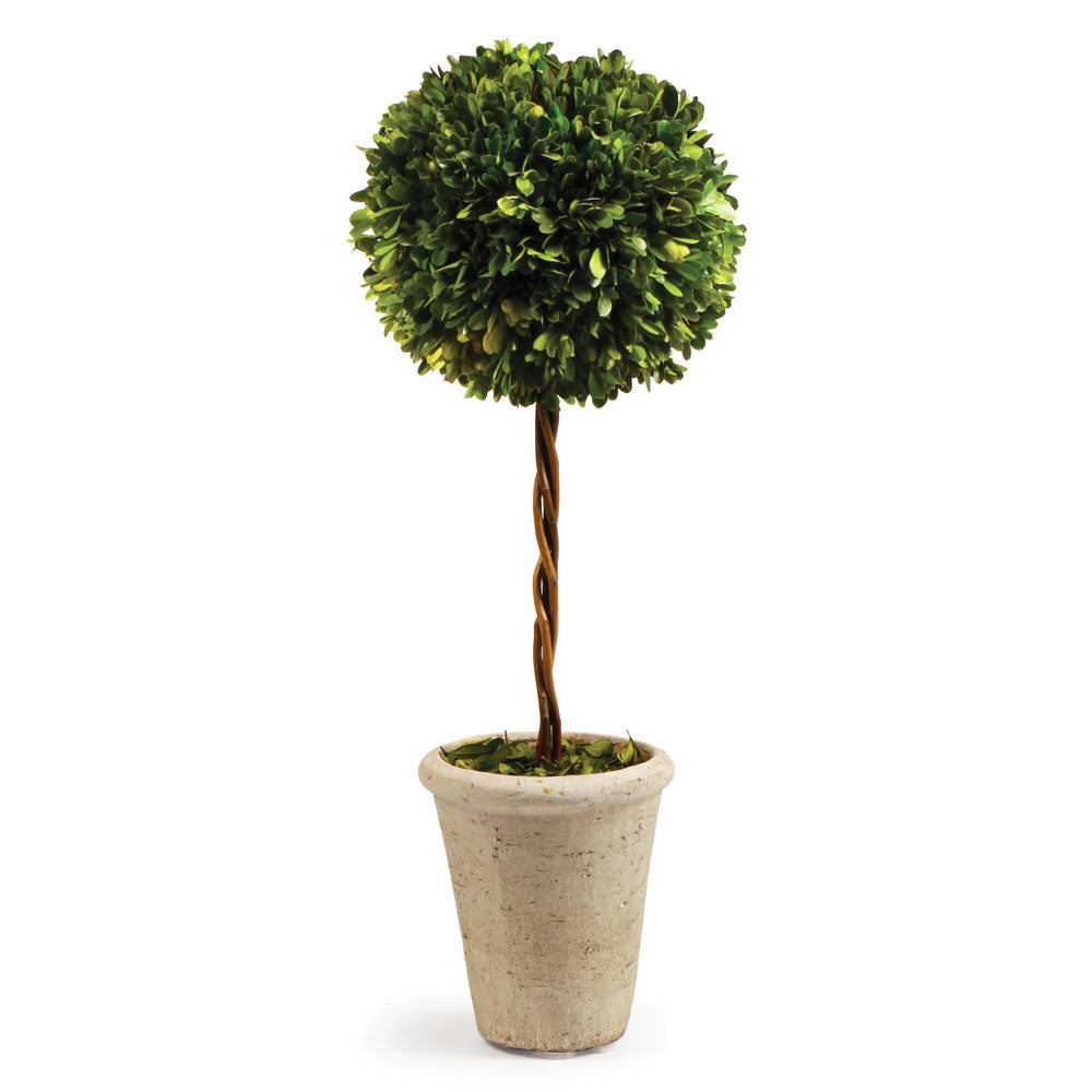 Boxwood Single Sphere Topiary 23.25"