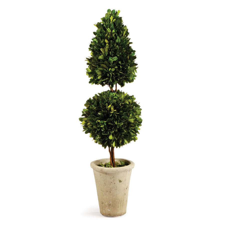 Boxwood Cone & Ball Topiary 25"