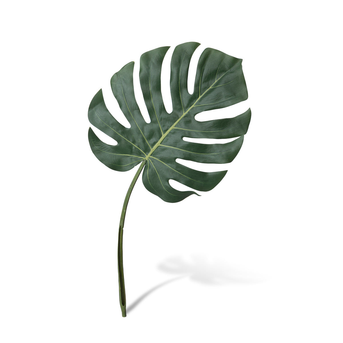 Monstera Leaf, Small