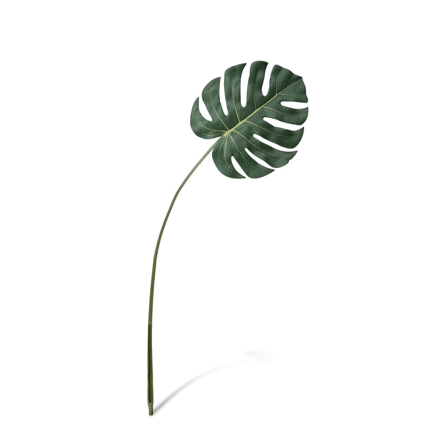 Monstera Leaf, Medium