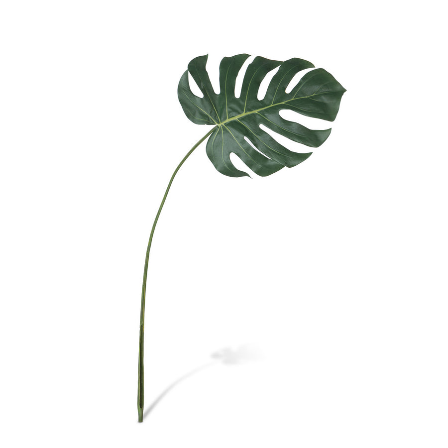 Monstera Leaf, Large