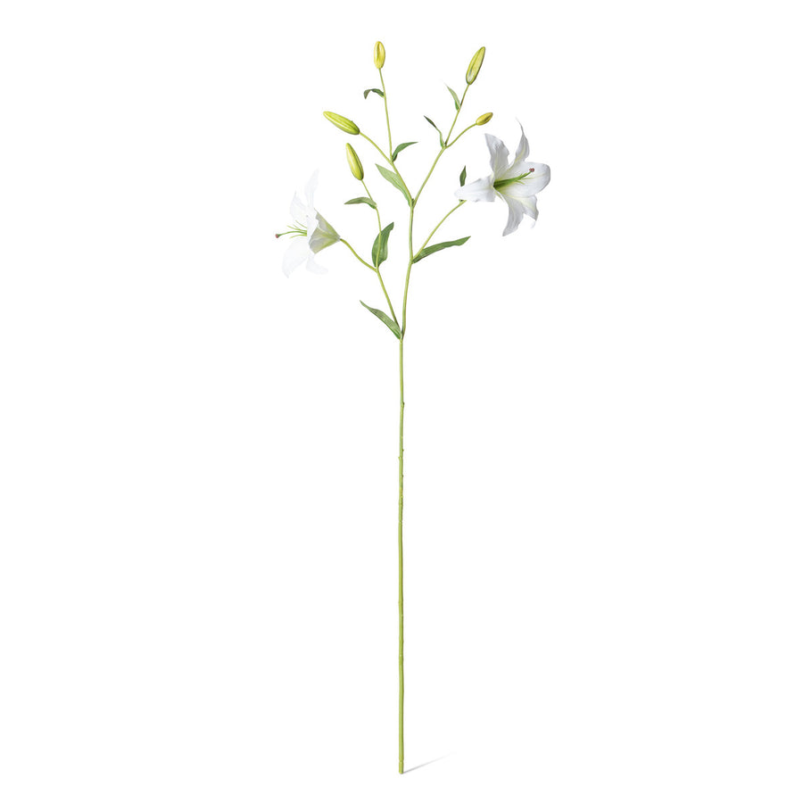 Oriental Lily Stem, White