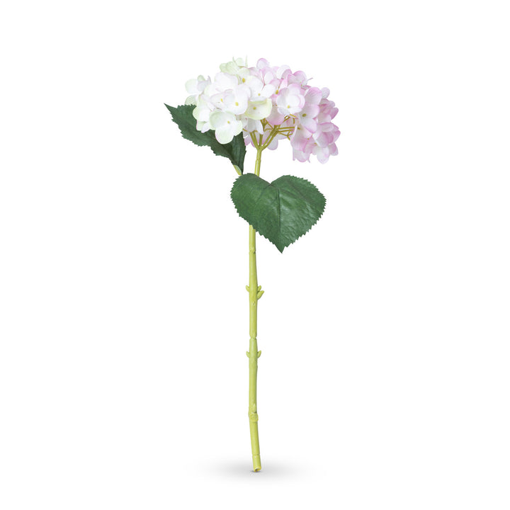 Garden Hydrangea Stem, Pink