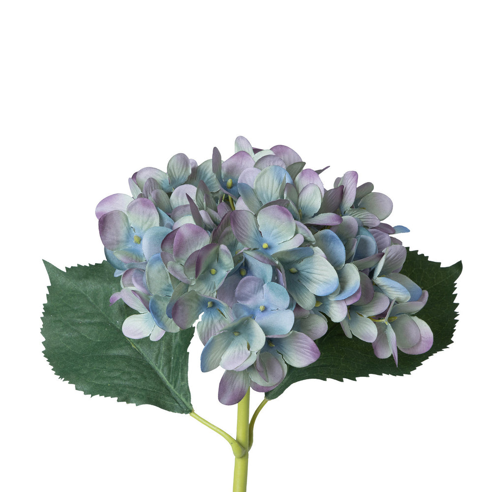 Garden Hydrangea Stem, Blue Plum