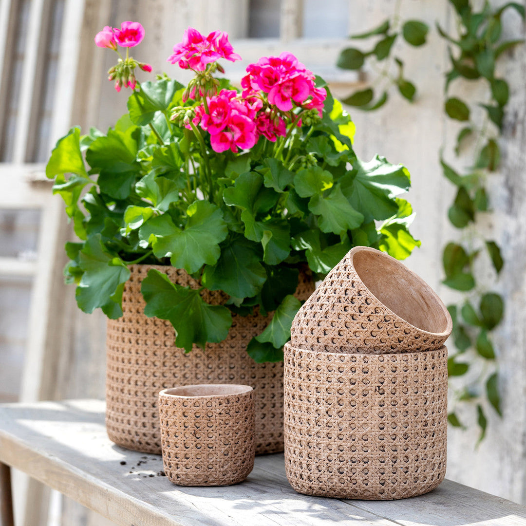 Cane Relief Pattern Cement Pot, 10.25"