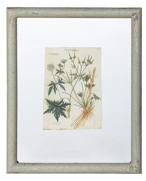 Floating Framed Botanical Prints, 6 Assorted Styles