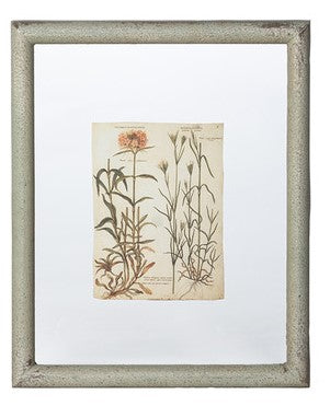 Floating Framed Botanical Prints, 6 Assorted Styles