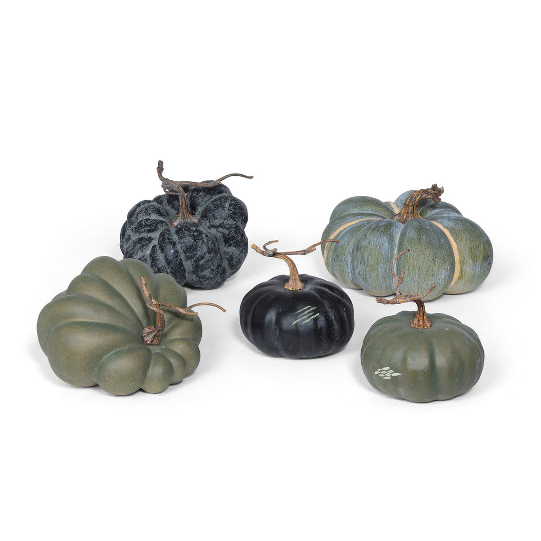 Green Heirloom Pumpkins, Set of 5, Assorted Styles
