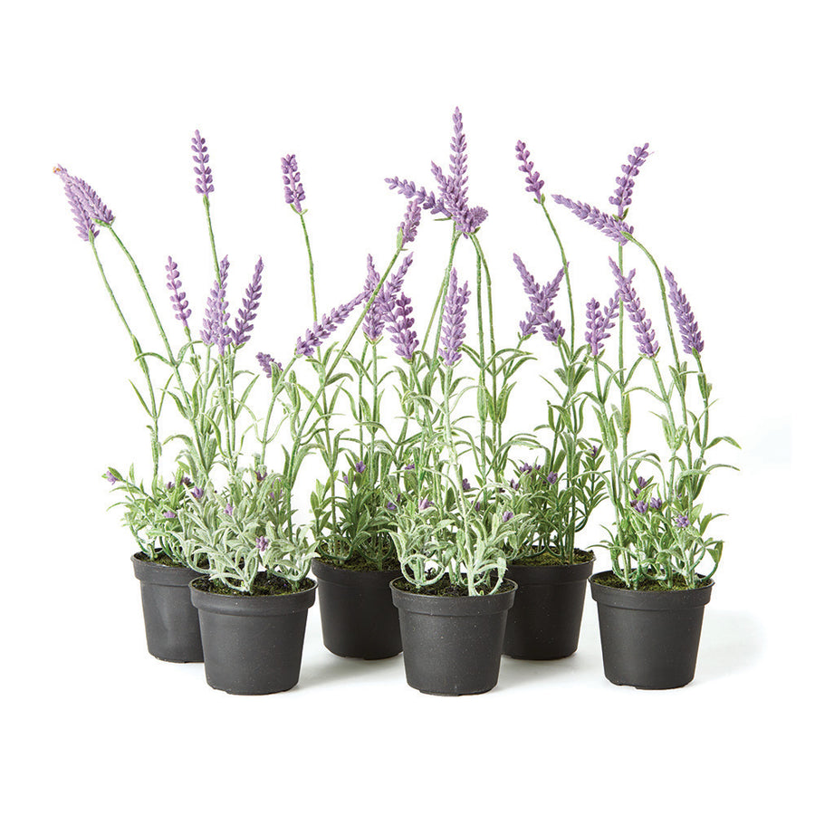French Lavender Drop-In 13", Set Of 6