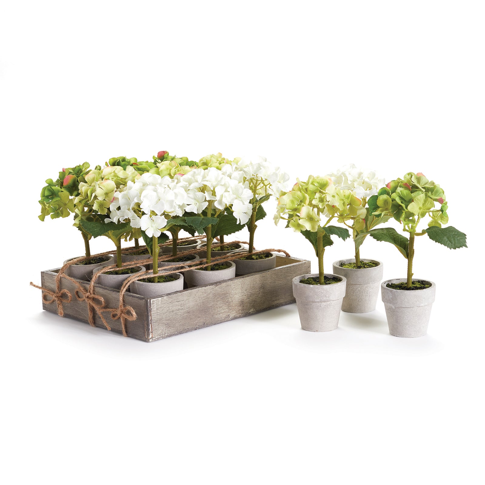 Mini Hydrangea Potted 7, Set Of 12