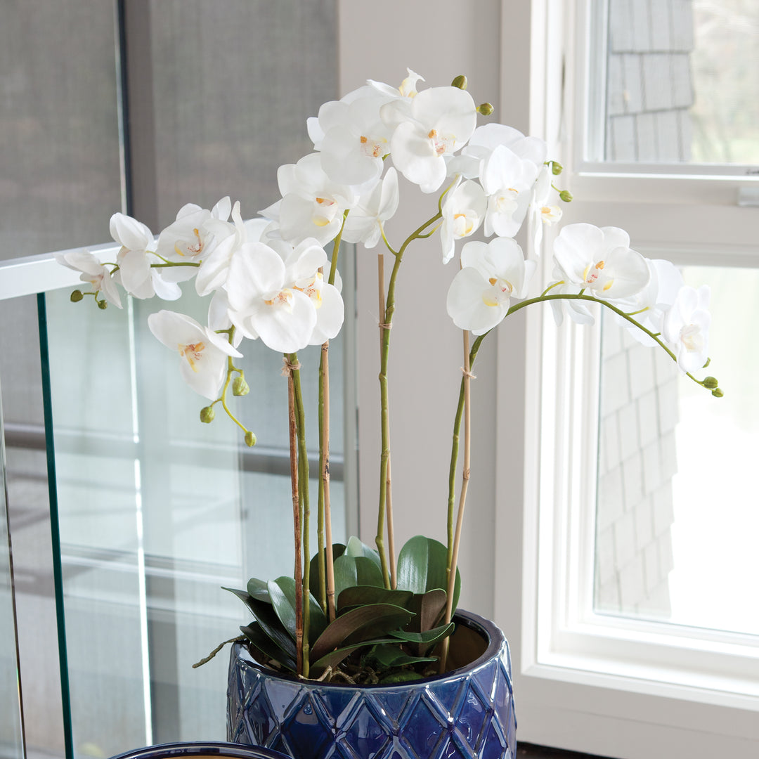 Phalaenopsis Orchid Bowl Drop-In 25"