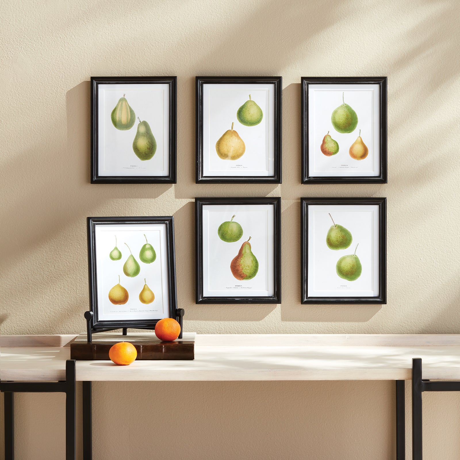 PEAR STUDY, SET OF 6
