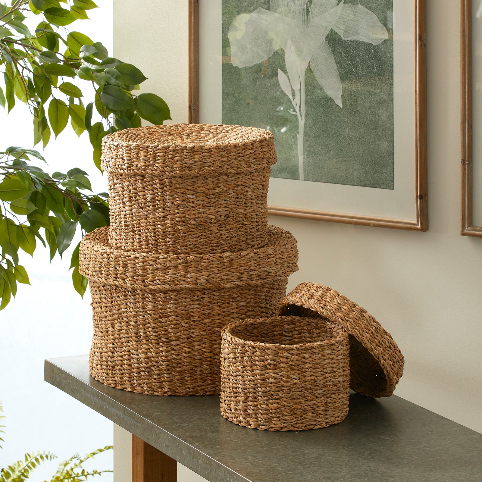 SEAGRASS ROUND LIDDED BASKETS, SET OF 3
