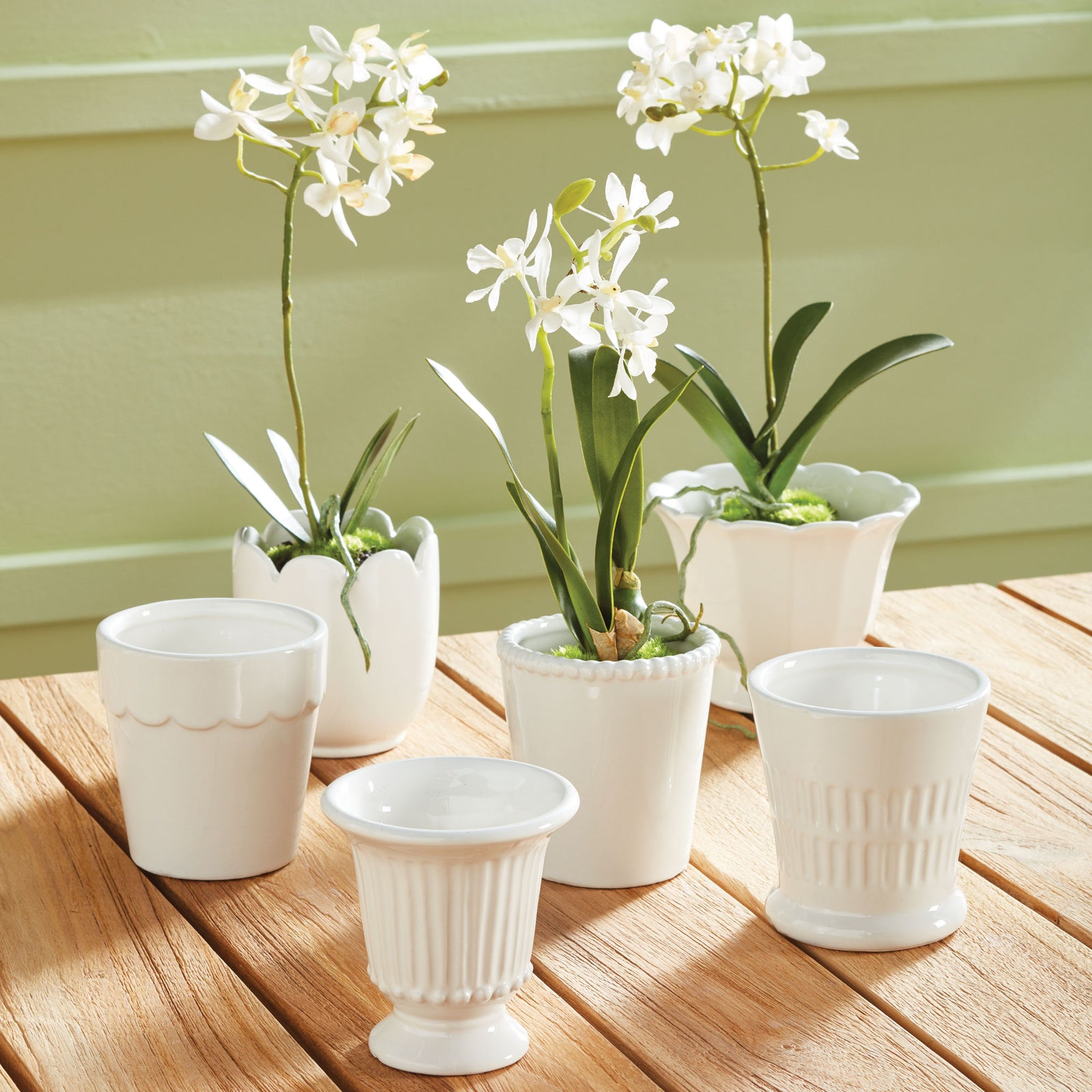 Mirabelle Mini Cachepots, Set Of 6