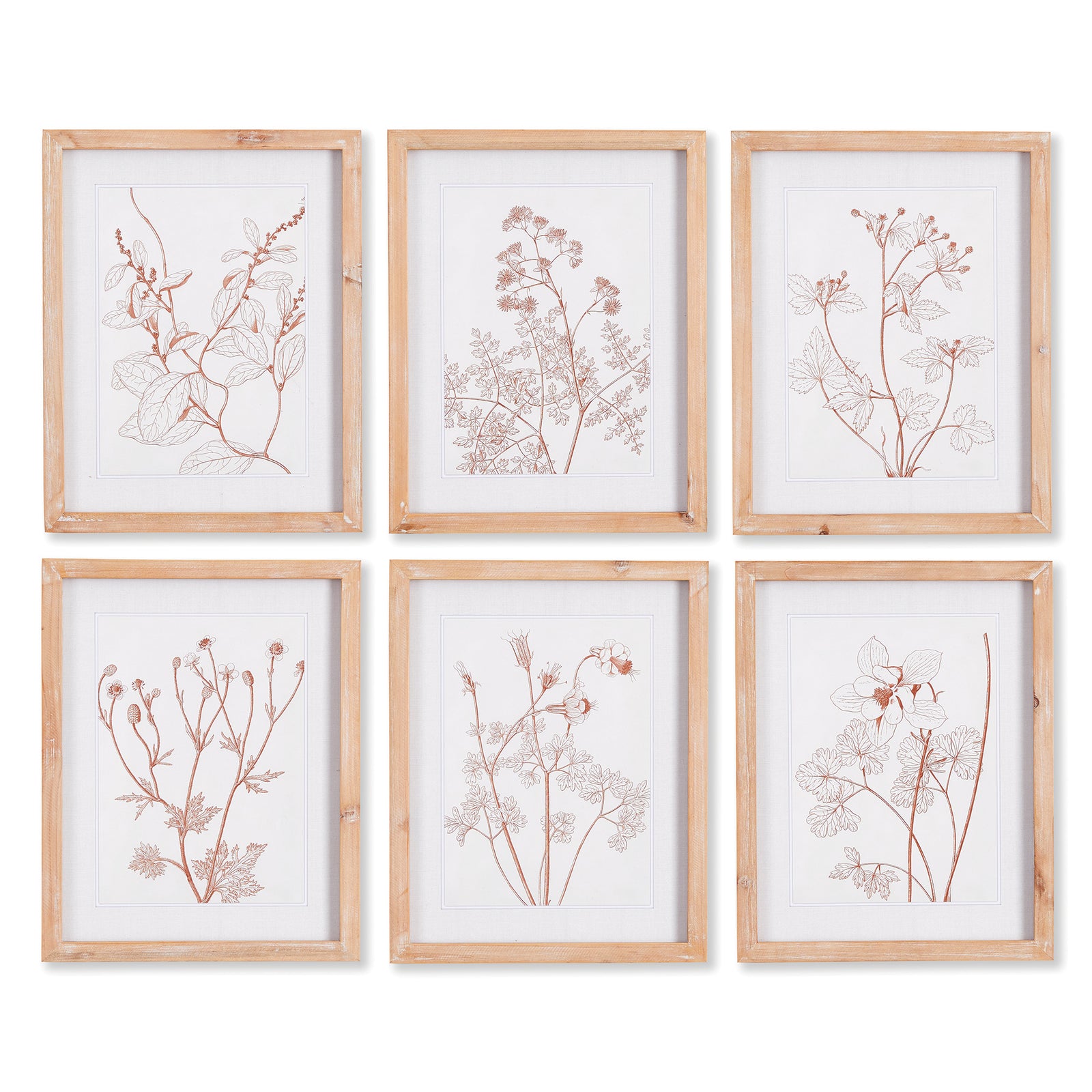 Botanicals In Blush Prints, Set Of 6
