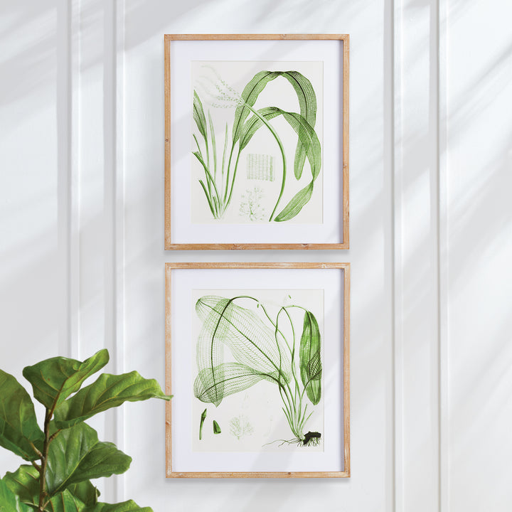 Aquatic Leaf Prints, Set Of 2