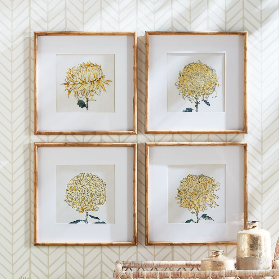 Wall Art - Chrysanthemum Prints, Set Of 4